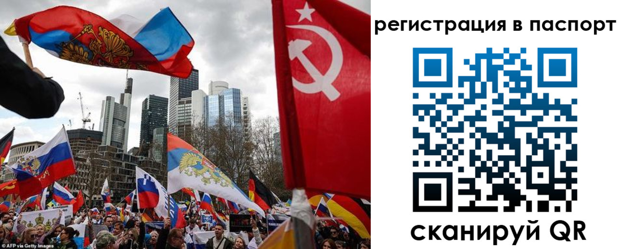временная регистрация поиск в Брянской области